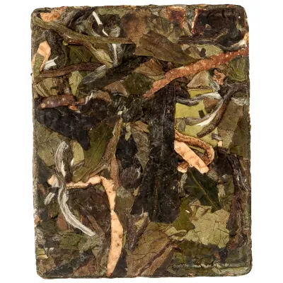 Chen Pi Shou Mei Fang Cha