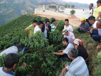 Káva Yunnan Catimor 350g