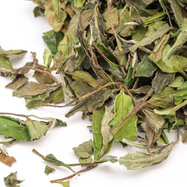 Produkt Bai Mu Dan King Obrázek