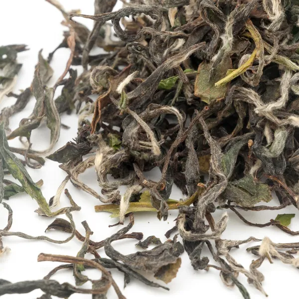 Produkt Bai Xue Long Obrázek